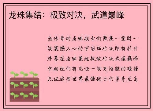 龙珠集结：极致对决，武道巅峰